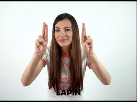 Lapin