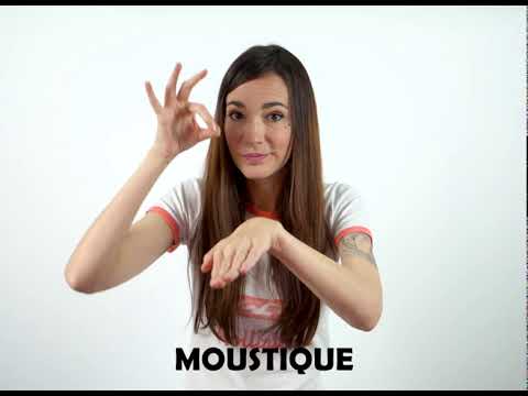 Moustique