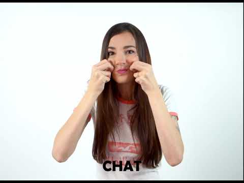 Chat