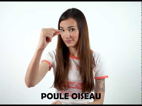 Poule Oiseau