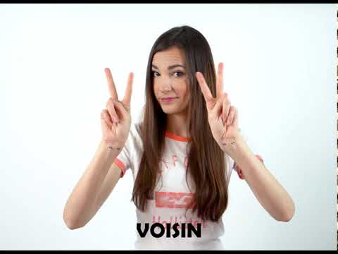 Voisin