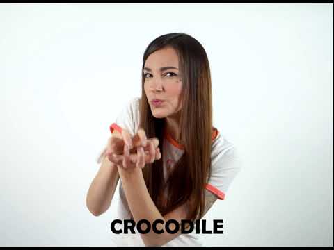 Crocodile