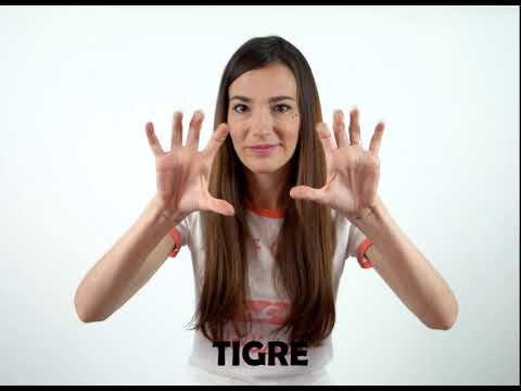 Tigre